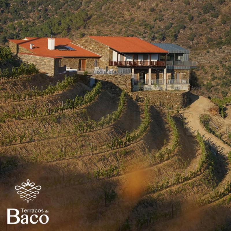 Terracos De Baco Villa Ribalonga Luaran gambar